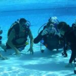 Amazing 3 Day PADI Open Water Diving Course - Become a Certified Diver in Paradise