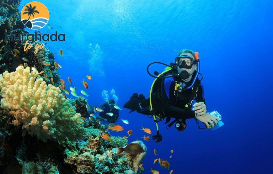 Scuba Diving Tour in Hurghada : Explore the Red Sea