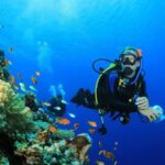 Scuba Diving Tour For Certified Divers with Lunch 2026