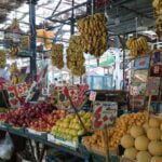 Best Hurghada City Tour: Stops for Shopping & Culture 2026