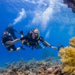Scuba Diving Tour in Hurghada : Explore the Red Sea