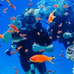 Scuba Diving Tour in Hurghada : Explore the Red Sea