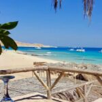 Mahmya Island Snorkeling Tour : Red Sea Crystal Waters