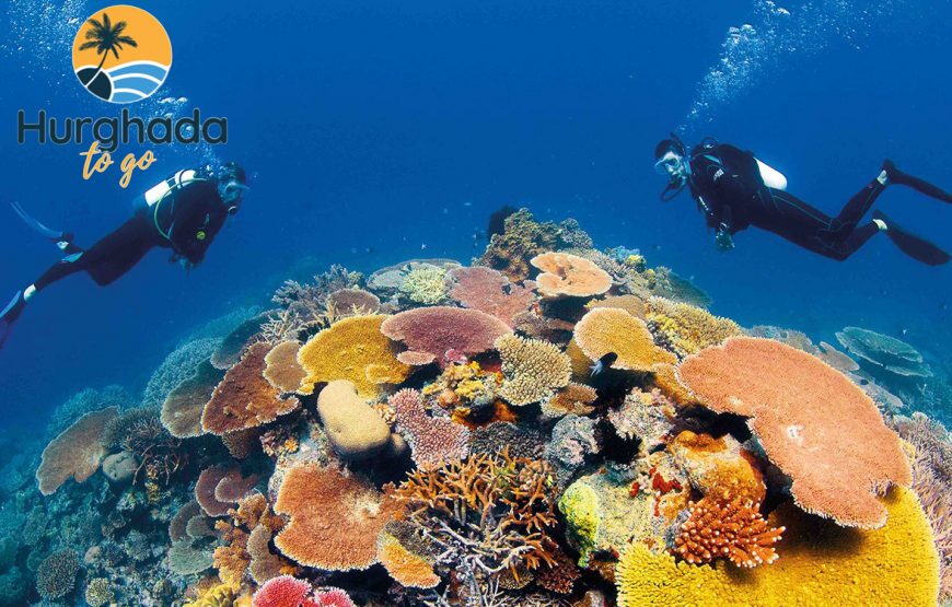 Scuba Diving Tour in Hurghada : Explore the Red Sea