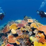 Scuba Diving Tour in Hurghada : Explore the Red Sea