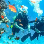 Scuba Diving Tour in Hurghada : Explore the Red Sea