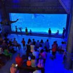 Hurghada Grand Aquarium Tour with Tickets & Transfers