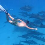Swimming with Dolphins & Snorkeling Trip in Hurghada 2 spots adventure