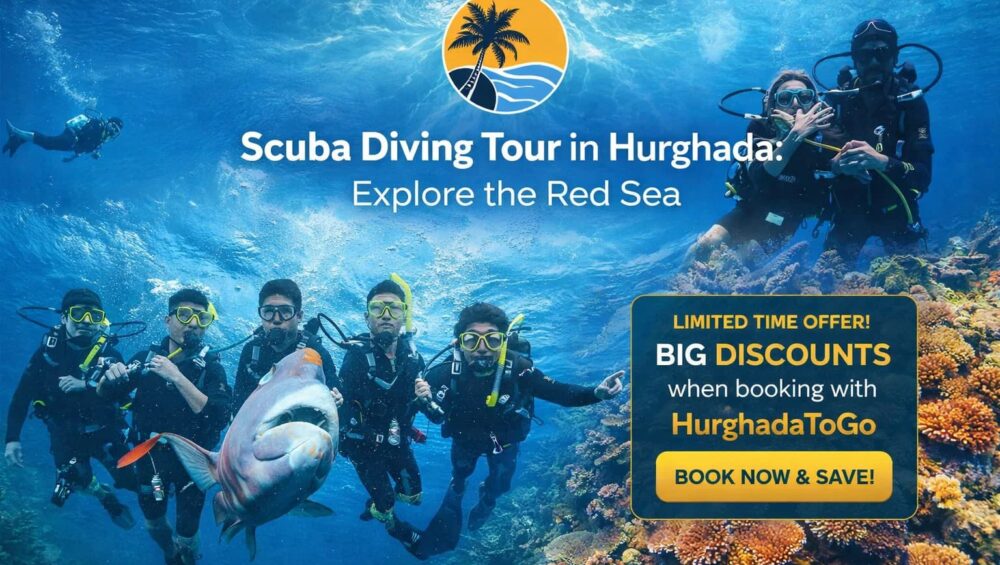 Scuba Diving Tour in Hurghada : Explore the Red Sea