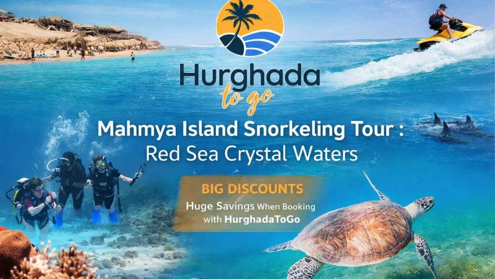Mahmya Island Snorkeling Tour : Red Sea Crystal Waters