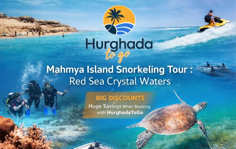 Hurghada To Go THE 10 BEST Hurghada Excursions (2026) Mahmya Island Snorkeling Tour : Red Sea Crystal Waters