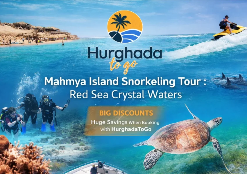 Mahmya Island Snorkeling Tour : Red Sea Crystal Waters