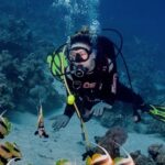 Scuba Diving Tour For Certified Divers with Lunch 2026