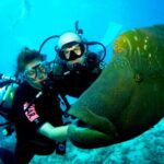 Scuba Diving Tour in Hurghada : Explore the Red Sea