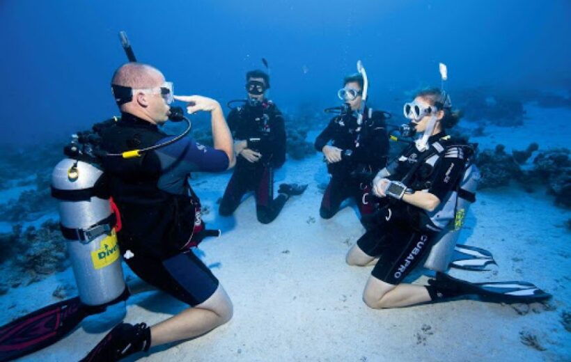 Amazing 3 Day PADI Open Water Diving Course - Become a Certified Diver in Paradise