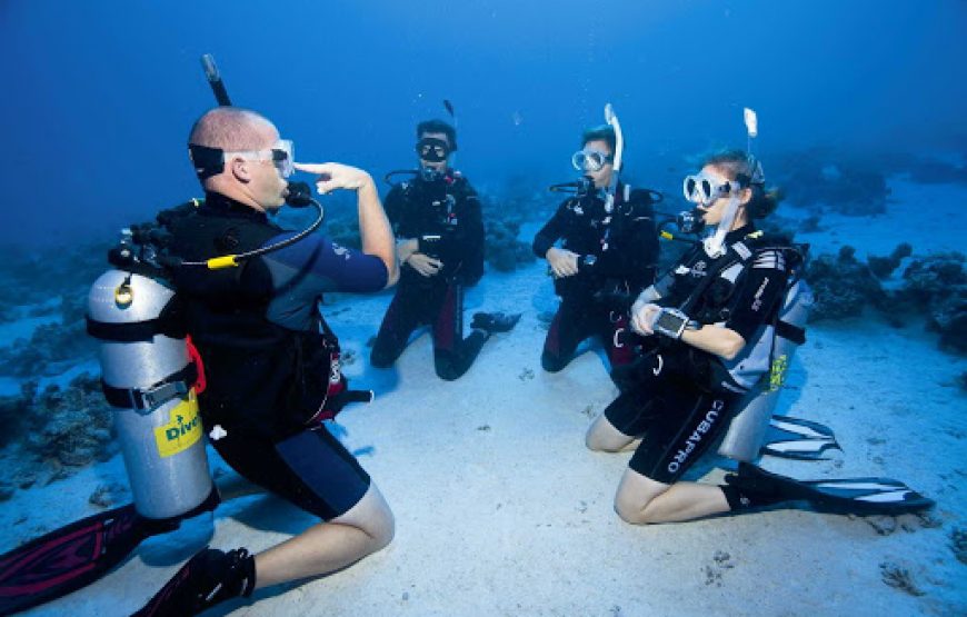 Amazing 3 Day PADI Open Water Diving Course - Become a Certified Diver in Paradise