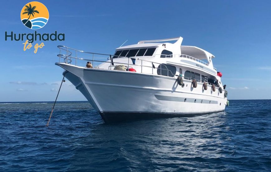 Scuba Diving Tour in Hurghada : Explore the Red Sea