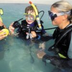 Amazing 3 Day PADI Open Water Diving Course - Become a Certified Diver in Paradise