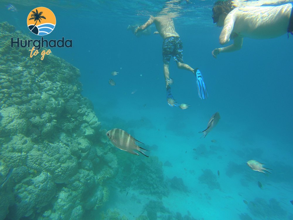 Mahmya Island Trip from Hurghada : Boat & Snorkeling