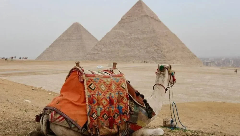 Cairo day trip from Hurghada by bus