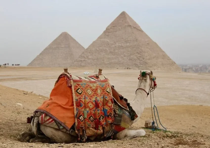 Cairo day trip from Hurghada by bus