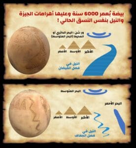 A Mysterious Ostrich Egg