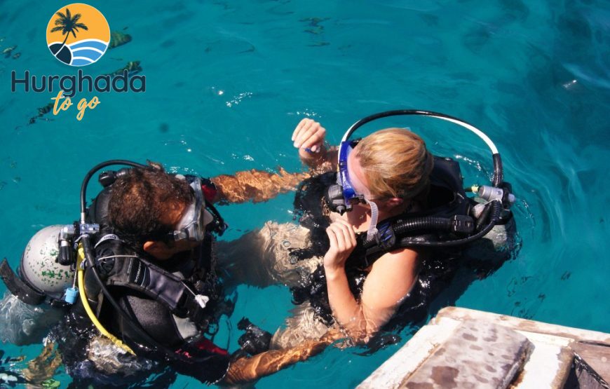 Dolphin House Tour from El Gouna : Swim & Snorkel