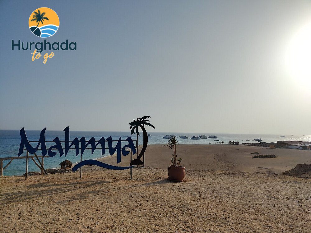 Mahmya Island Tour from El Gouna : Best Snorkeling Day