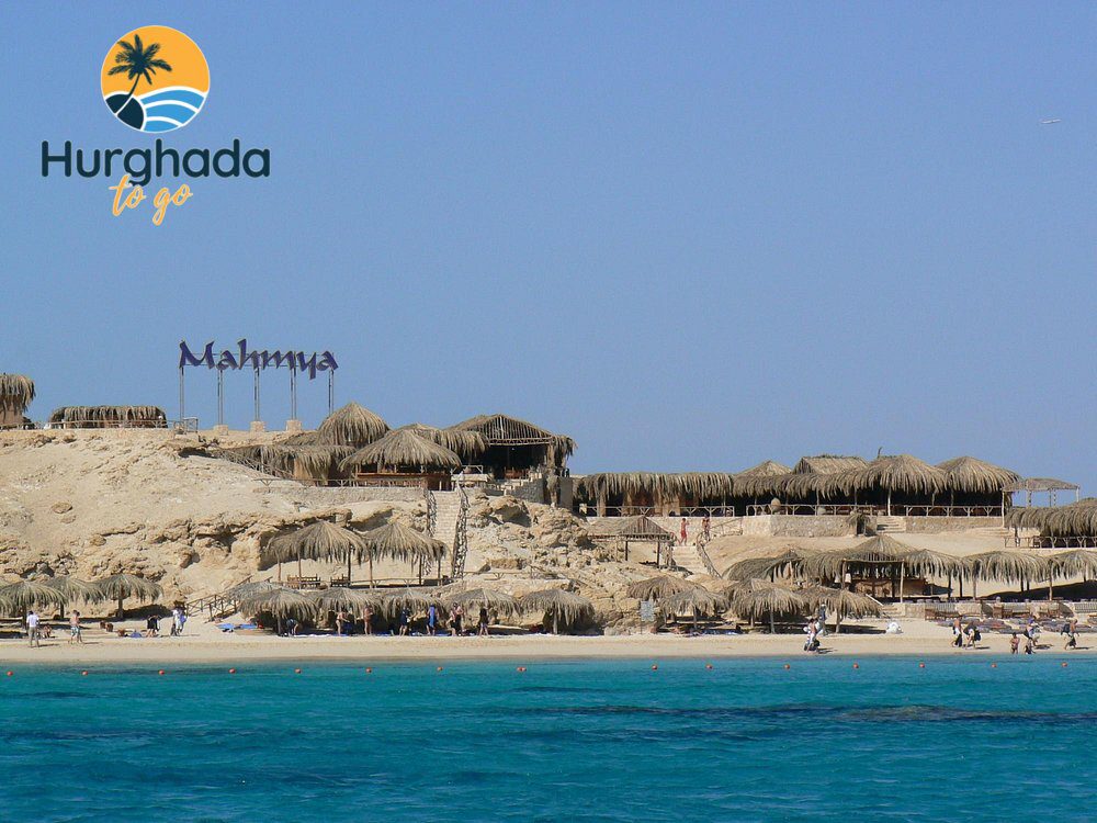 Mahmya Island Tour from El Gouna : Best Snorkeling Day