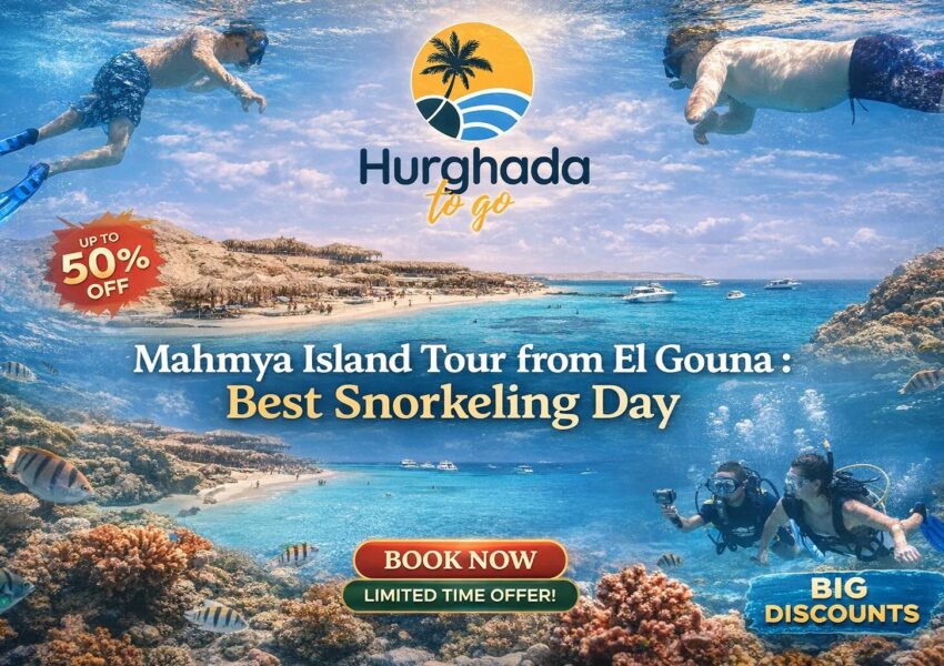 Mahmya Island Tour from El Gouna : Best Snorkeling Day