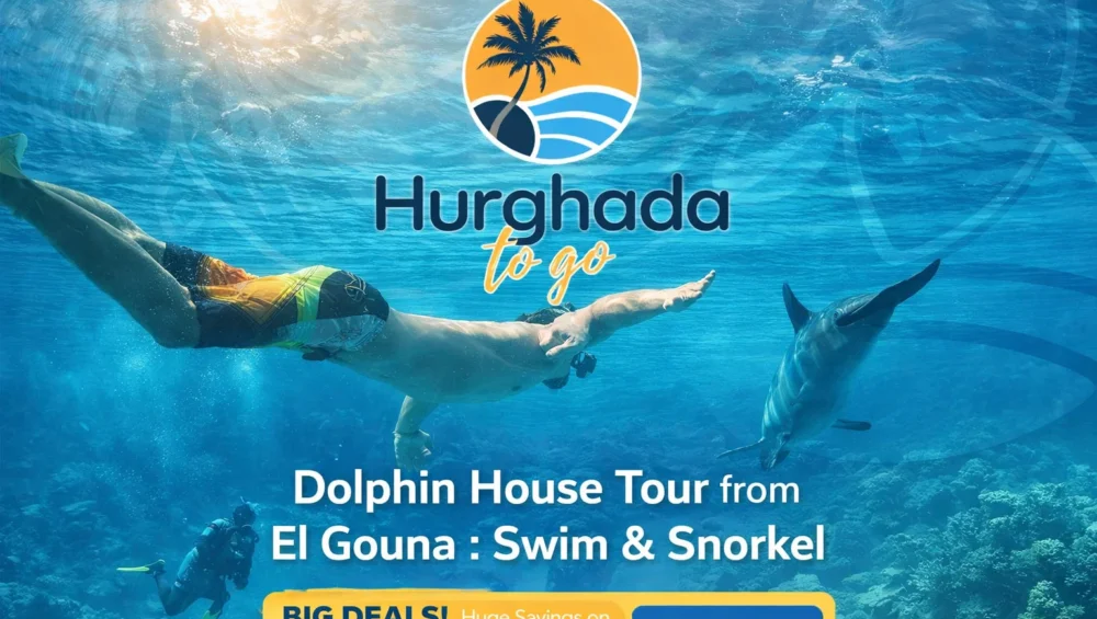 Dolphin House Tour from El Gouna : Swim & Snorkel