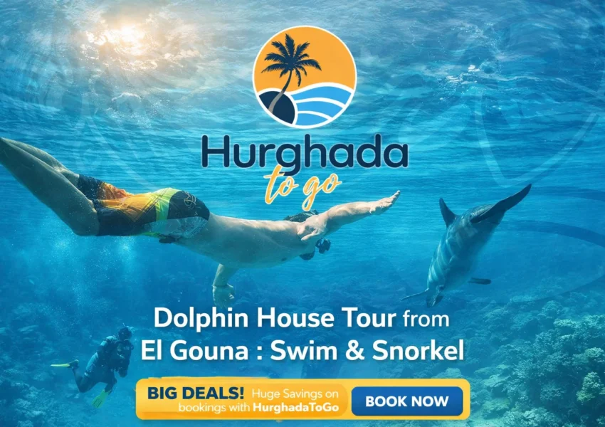 Dolphin House Tour from El Gouna : Swim & Snorkel