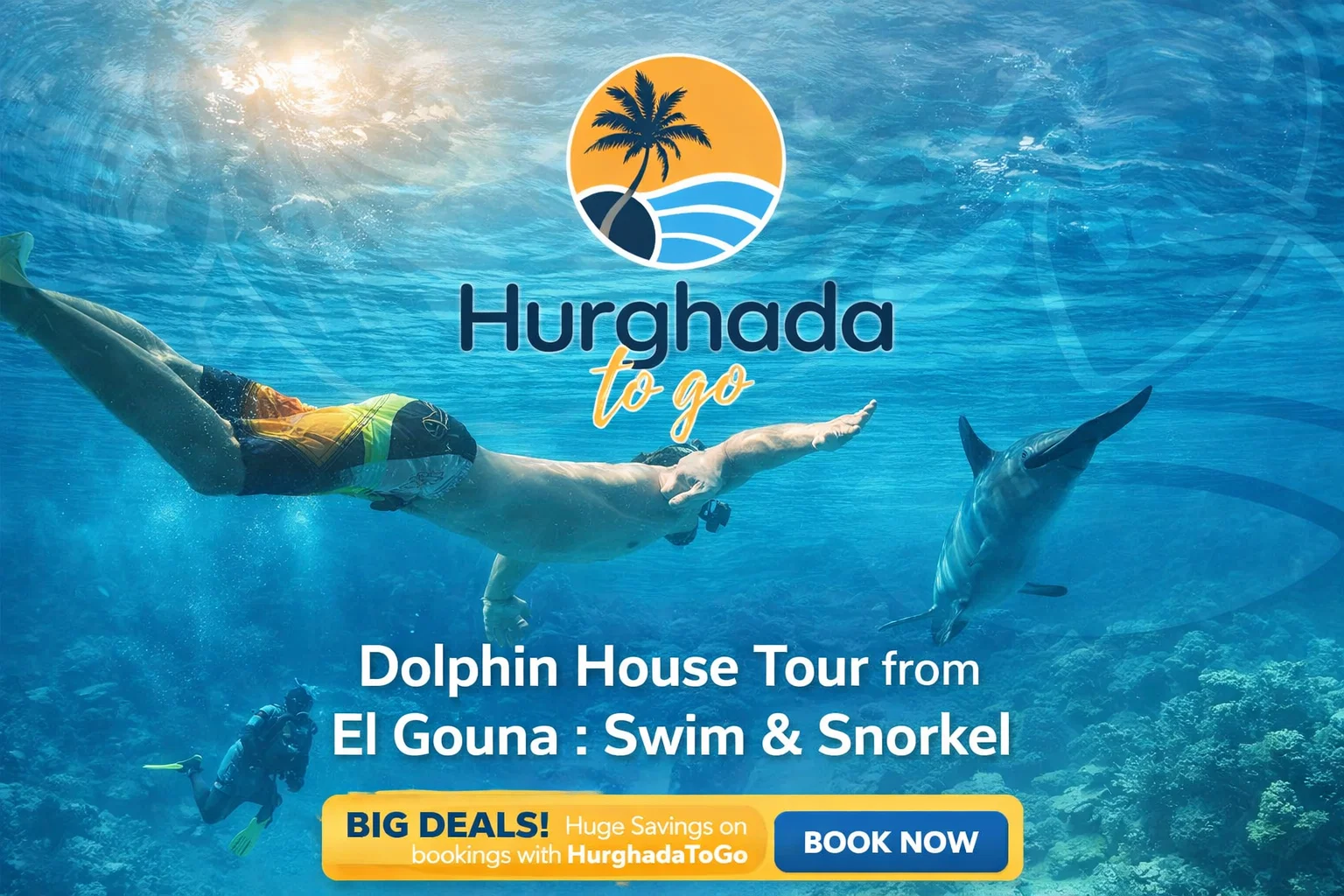 Dolphin House Tour from El Gouna : Swim & Snorkel