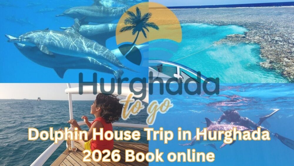 Dolphin House Trip in Hurghada 2026 Book online Dolphin House Trip in Hurghada 2026 Book online