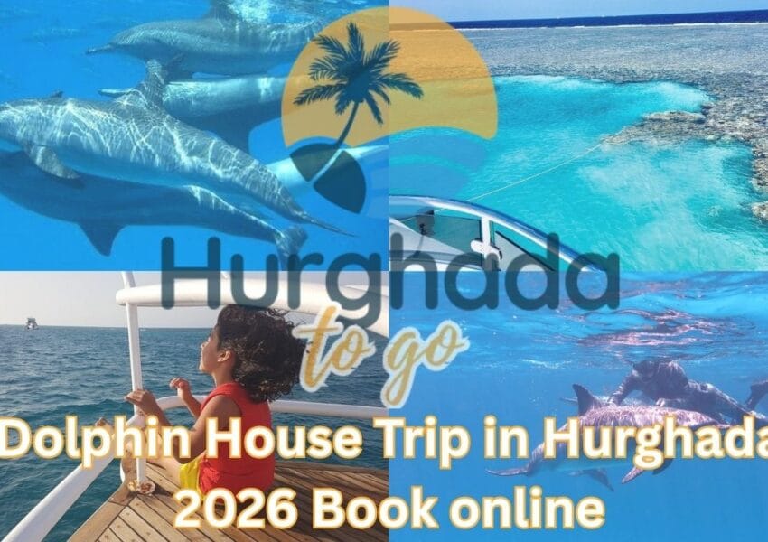 Dolphin House Trip in Hurghada 2026 Book online