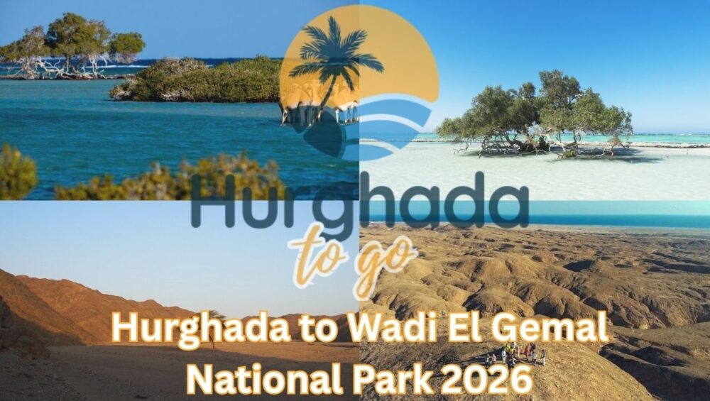 Hurghada to Wadi El Gemal National Park 2026 Hurghada to Wadi El Gemal National Park 2026