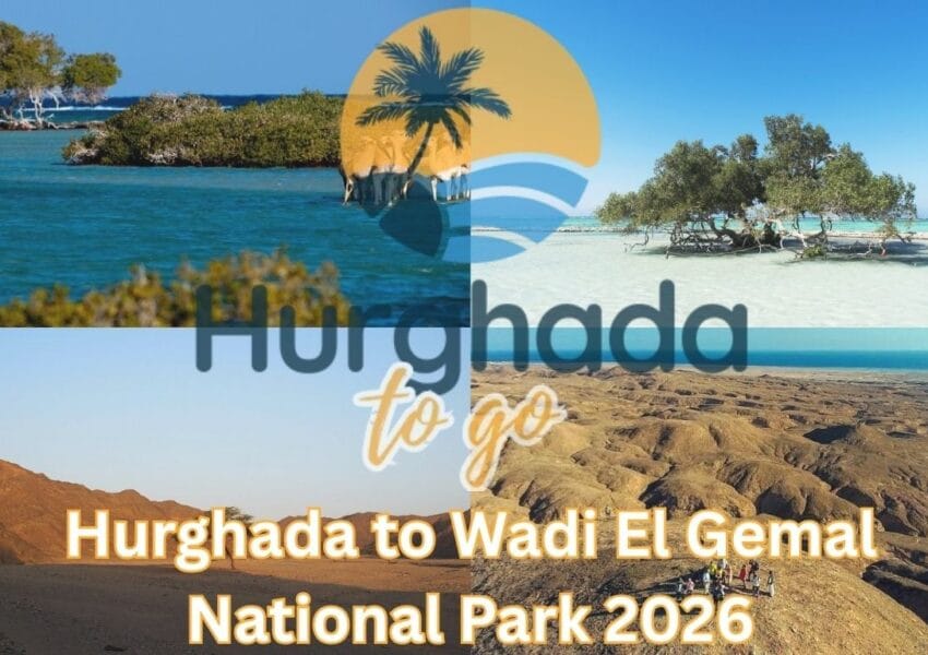 Hurghada to Wadi El Gemal National Park 2026