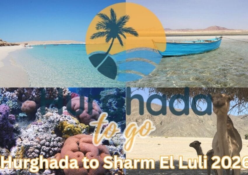 Hurghada to Sharm El Luli 2026