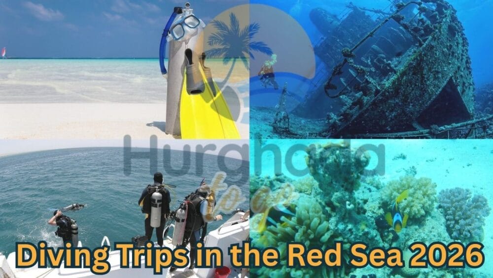 Diving Trips in the Red Sea 2026