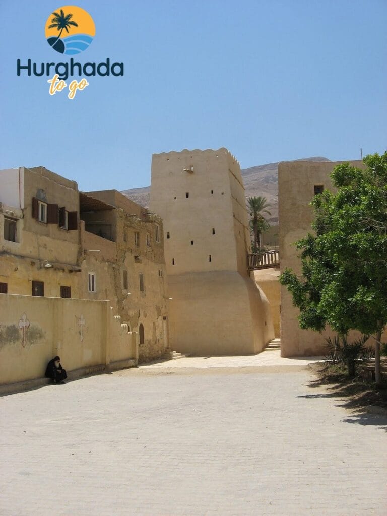 Optional Add-On – Bedouin Tea or Local Lunch Stop