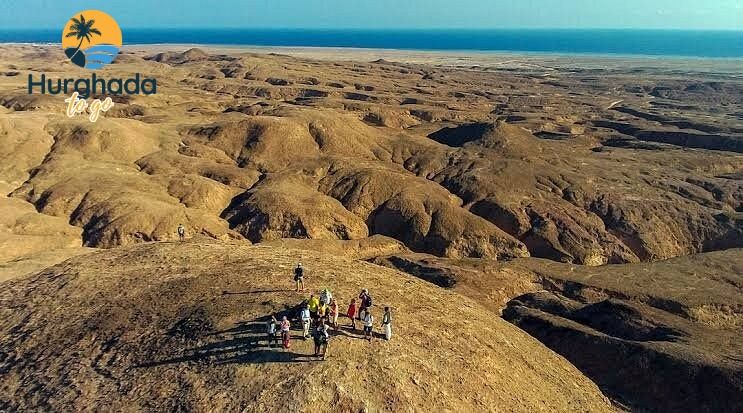 Hurghada to Wadi El Gemal National Park 2026 How to Reach Wadi El Gemal National Park from Hurghada