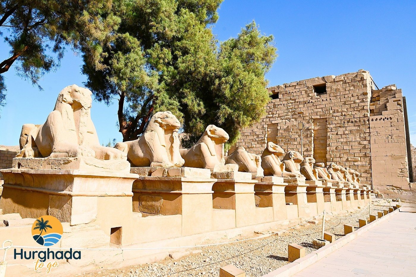 Nile Cruises between Luxor and Aswan 2026 Temple of Karnak