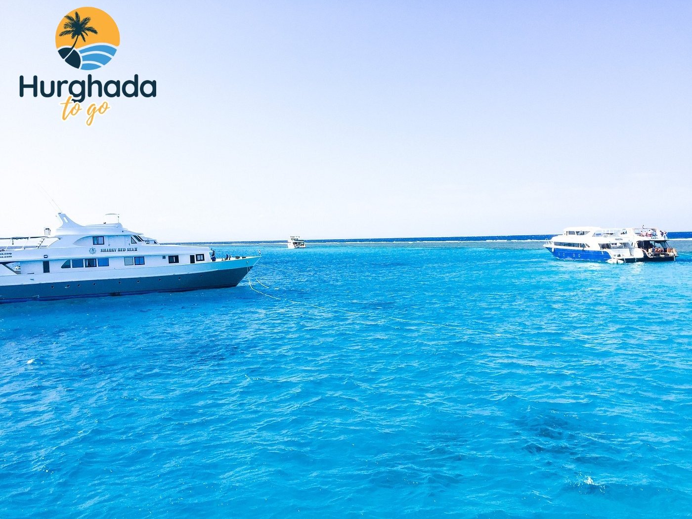 Dolphin House Trip in Hurghada 2026 Book online Chill Time – Sunbathe, Swim, or Just Enjoy the View