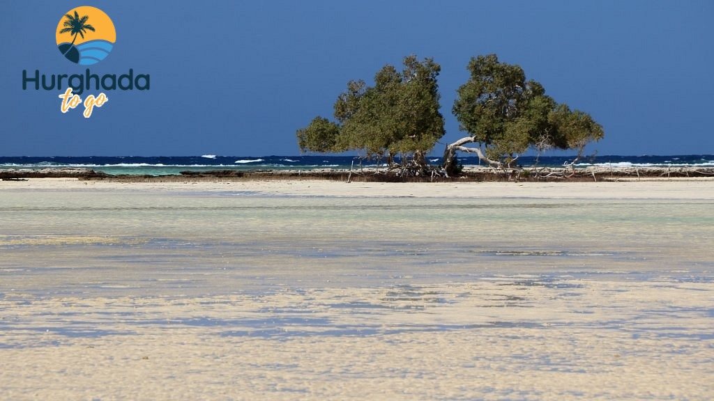 Hurghada to Wadi El Gemal National Park 2026 Hurghada to Wadi El Gemal National Park 2026