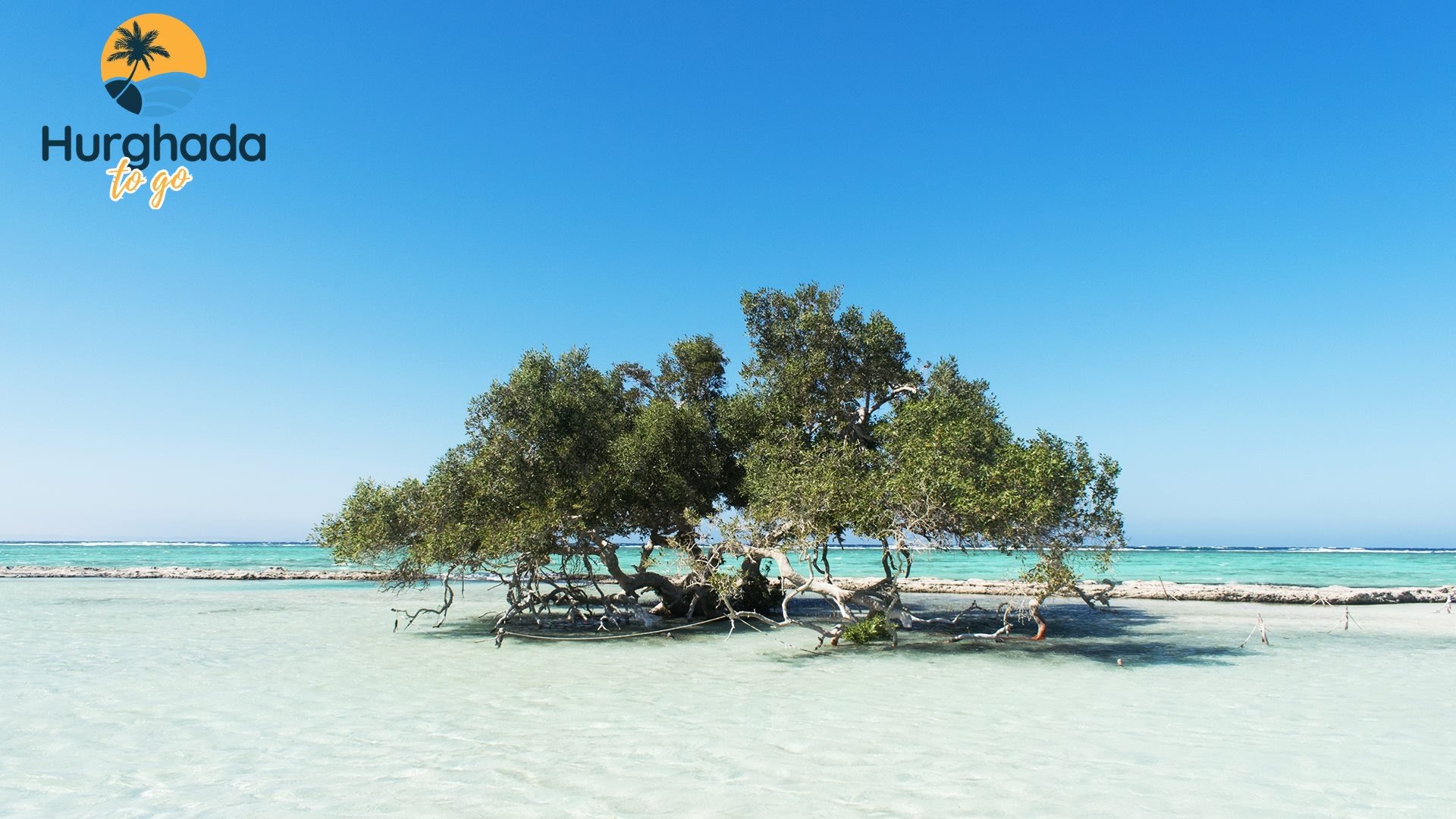 Hurghada to Wadi El Gemal National Park 2026 Wadi El Qulaan & the Magical Mangroves – Nature Walks & Photo Moments