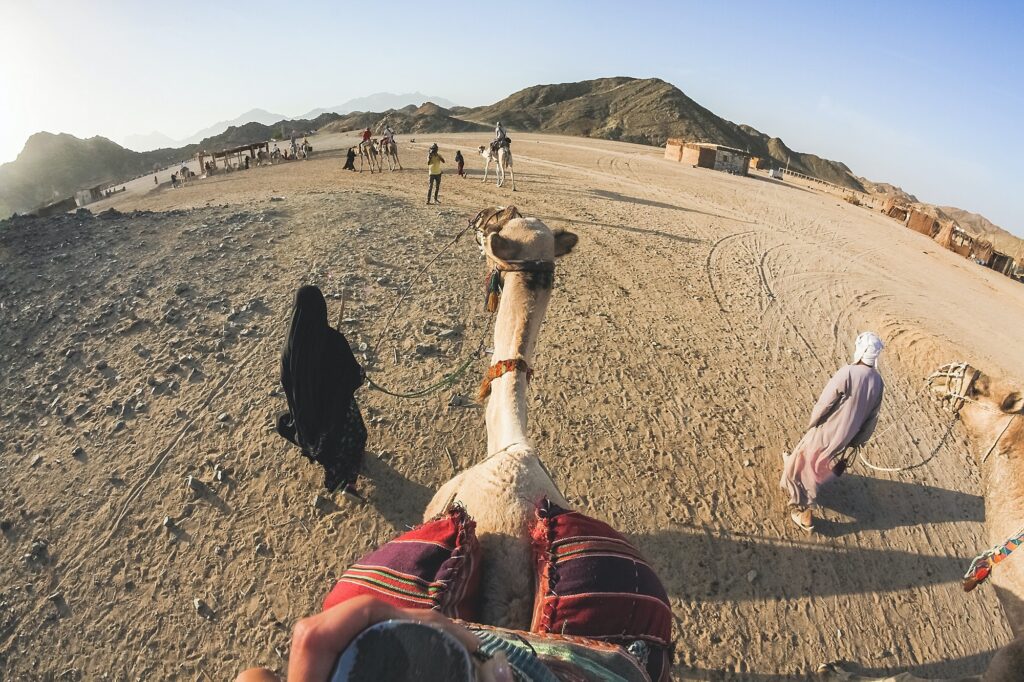 the traveler sits on a camel ride a camel in the egyptian desert photo of a camel from above