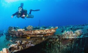 1 Day 1 Night Sea Adventure A Magical Night on the Red Sea – More Than Just a Trip 2026