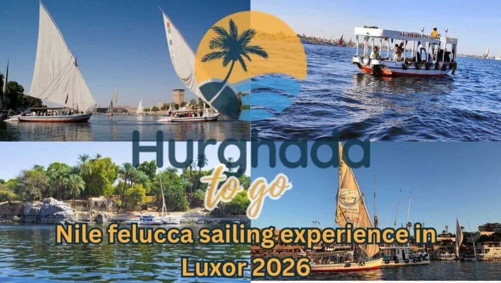 Nile felucca sailing experience in Luxor 2026