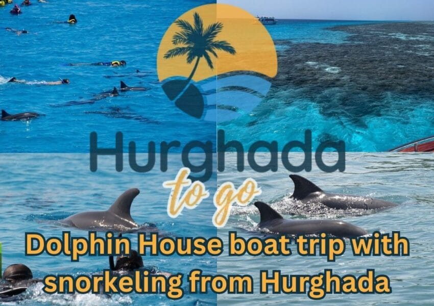 Dolphin House boat trip with snorkeling from Hurghada 2026