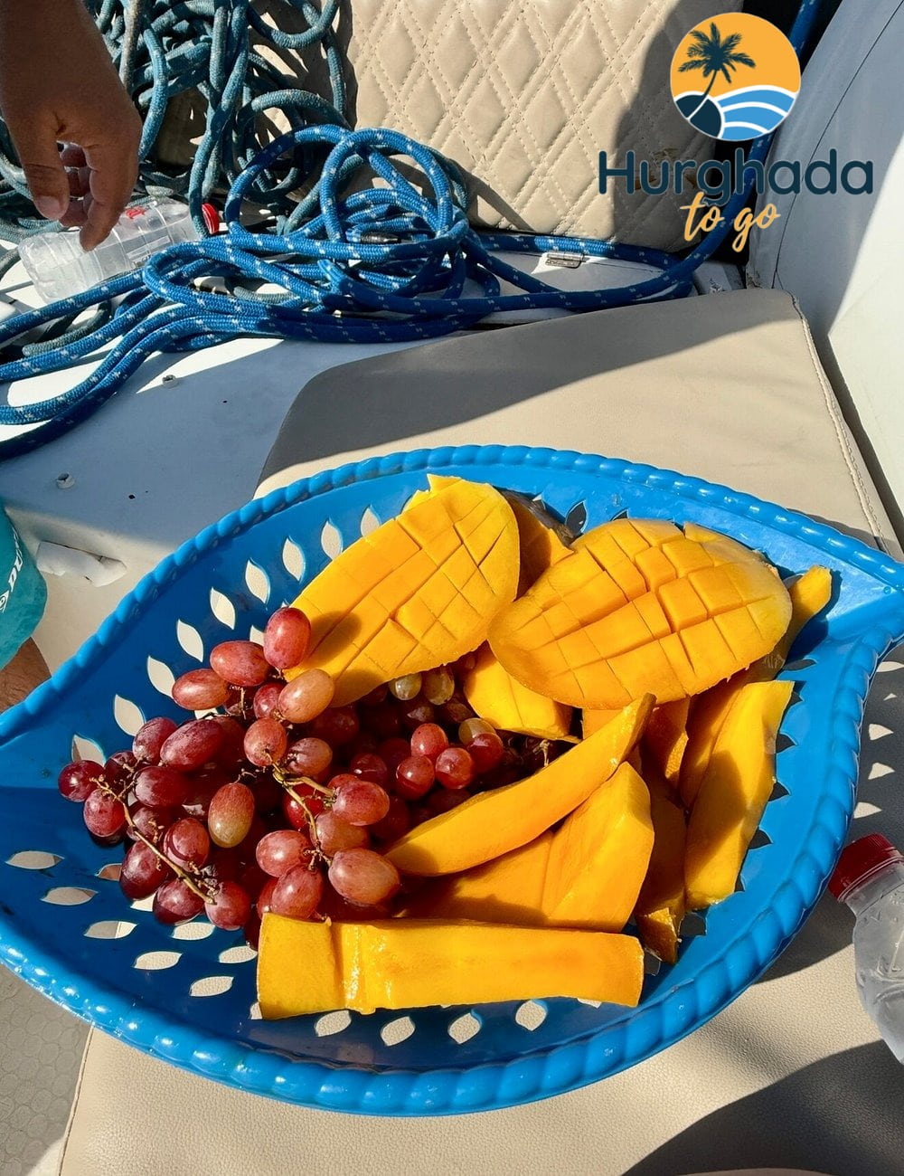 Light Lunch & Refreshments on Board